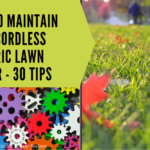 Electric Lawn Mower Maintenance and Care – 30 Tips